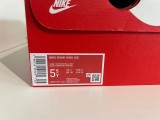 Nike Dunk high Aluminum (GS)