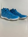 Nike Air Jordan 11 Pantone