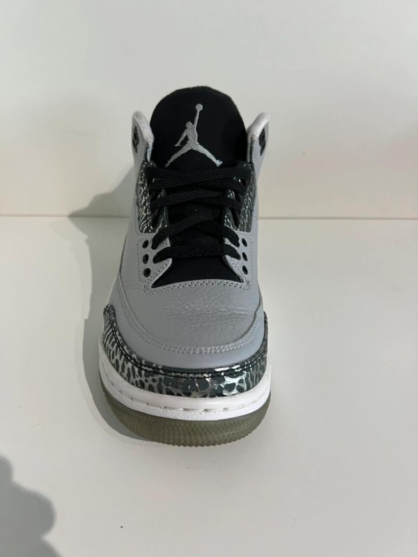 Nike Air Jordan 3 Wolf Grey 2