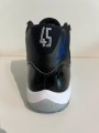 Nike Air Jordan 11 Space Jam (2016)