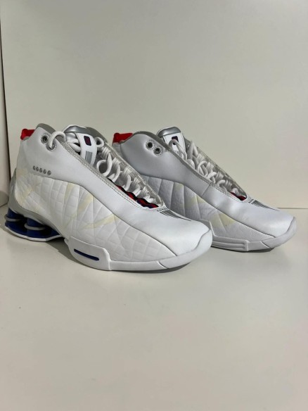 Nike Shox BB4 Toronto Raptors