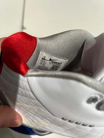 Nike Shox BB4 Toronto Raptors