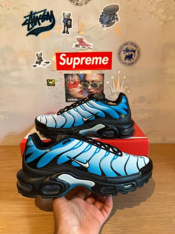 Nike Nike Air Max Plus Blue Gradient