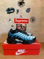 Nike Nike Air Max Plus Blue Gradient