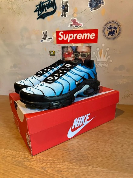 Nike Nike Air Max Plus Blue Gradient