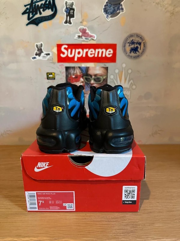 Nike Nike Air Max Plus Blue Gradient 2