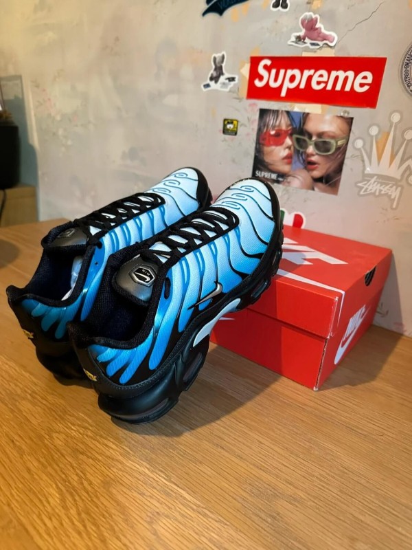 Nike Nike Air Max Plus Blue Gradient 2