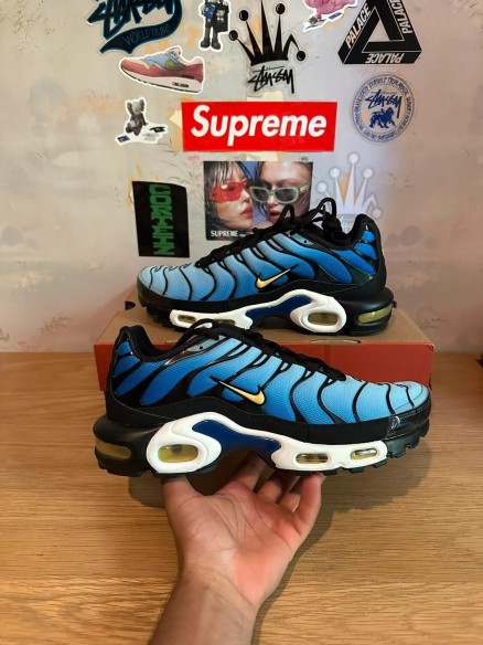 Nike Air Max Plus black blue / noir bleu