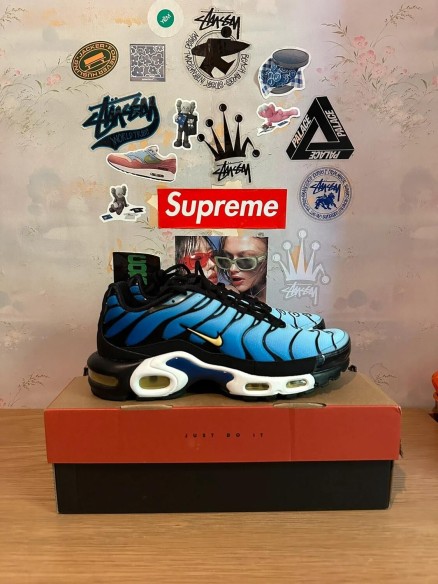 Nike Air Max Plus black blue / noir bleu