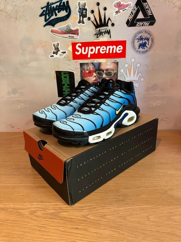 Nike Air Max Plus black blue / noir bleu 2