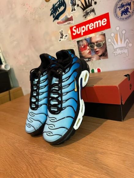 Nike Air Max Plus black blue / noir bleu