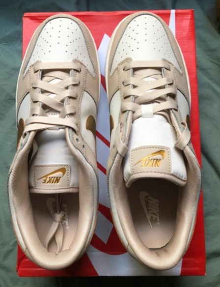 Nike Dunk Low