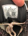 Nike air jordan 3