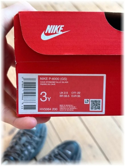 Nike p-6000 Gs cave stone Metallic Silver - taille 35