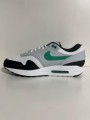 Nike Air Max 1 White Black Stadium Green