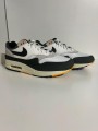 Nike Air Max 1 Athletic Department Light Bone University Gold