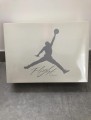 Nike air jordan 4 sb