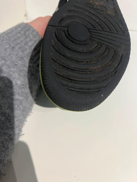 Nike air Jordan 1 High Tokyo Bio Hack