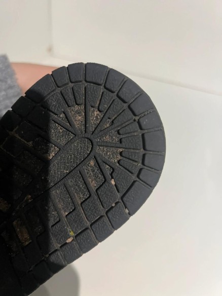 Nike air Jordan 1 High Tokyo Bio Hack