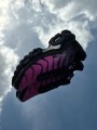 Nike Air Max Plus Pink Black Peony Metallic Silver - Taille 38
