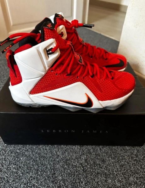Nike air zoom LeBron 12