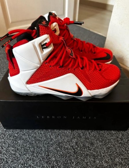 Nike air zoom LeBron 12