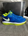 Nike air Lebron 8 v2