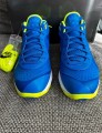Nike air Lebron 8 v2