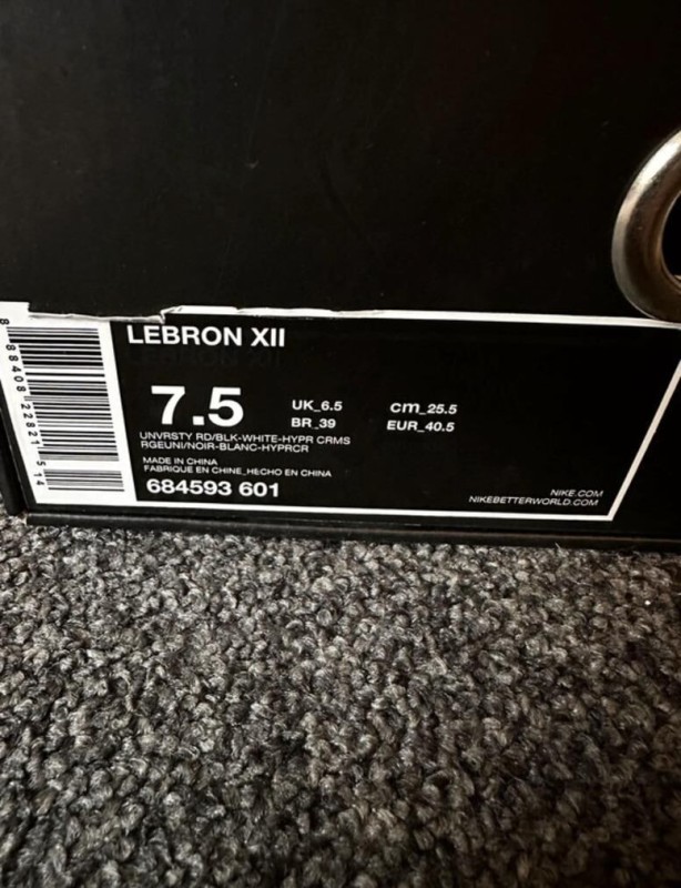 Nike air zoom LeBron 12 2