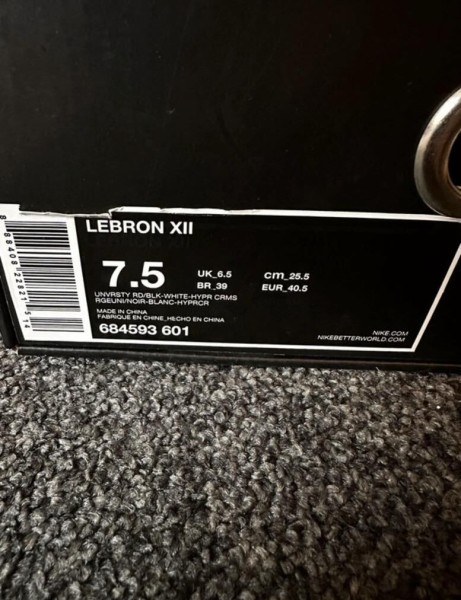 Nike air zoom LeBron 12