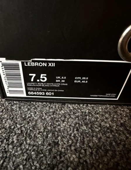 Nike air zoom LeBron 12