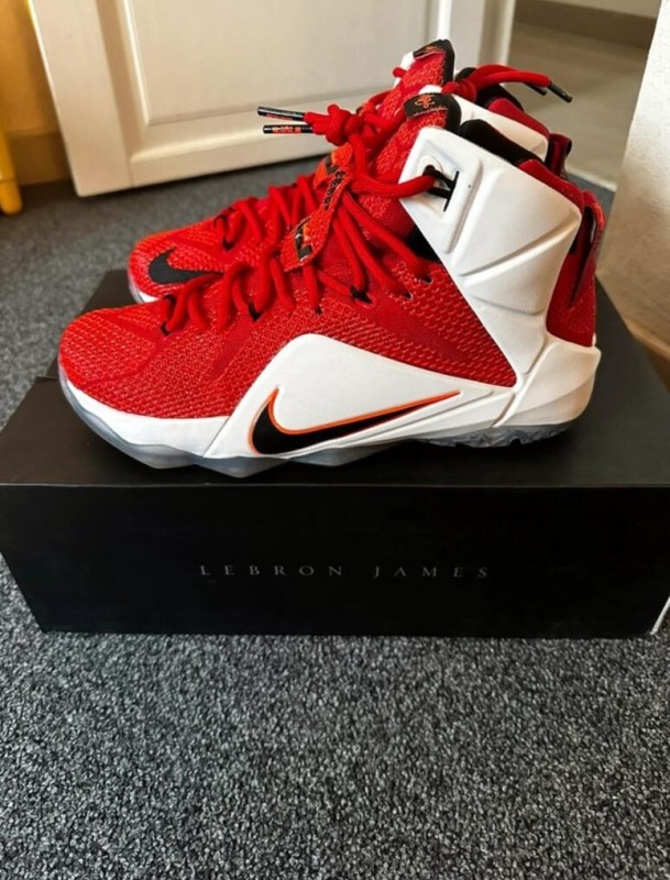 Nike air zoom LeBron 12 2