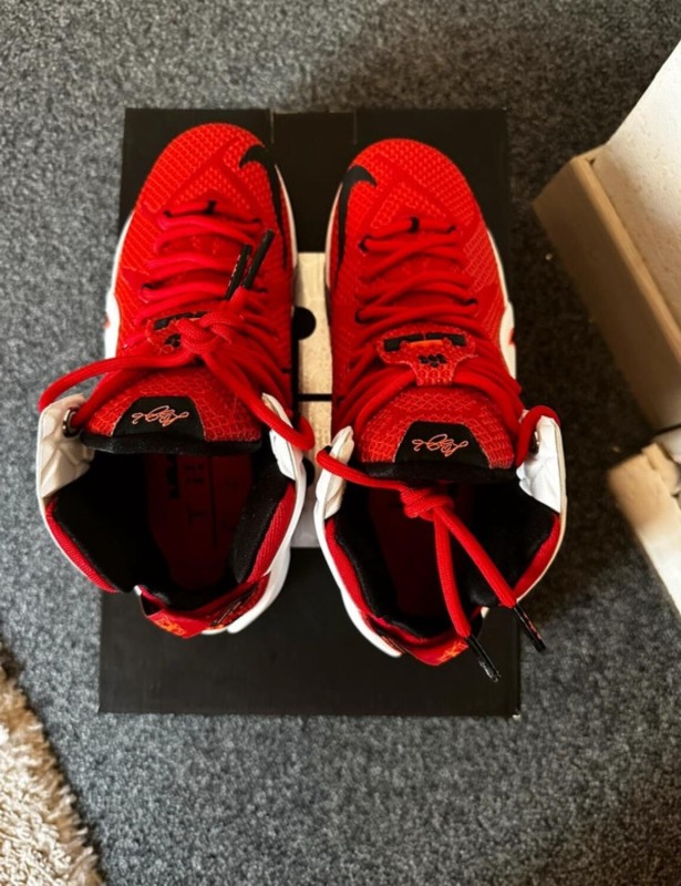 Nike air zoom LeBron 12 2