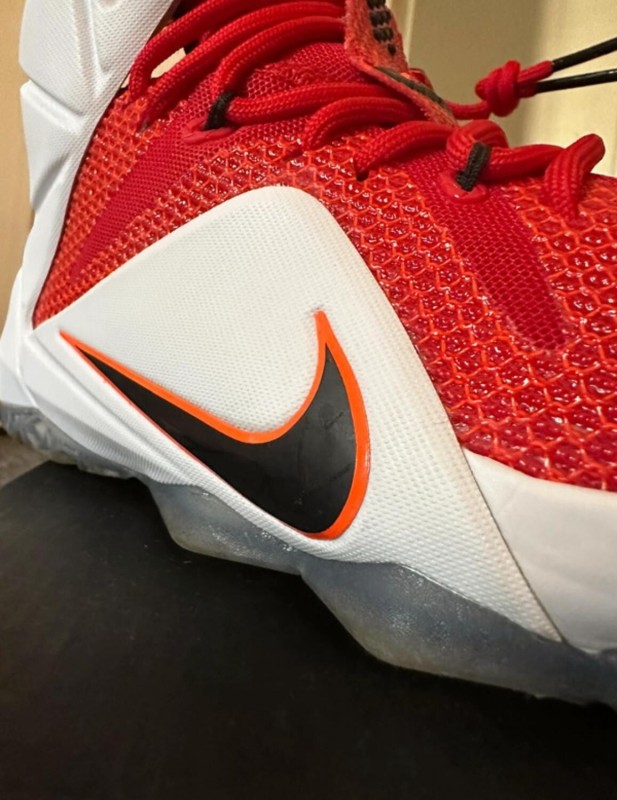 Nike air zoom LeBron 12 2