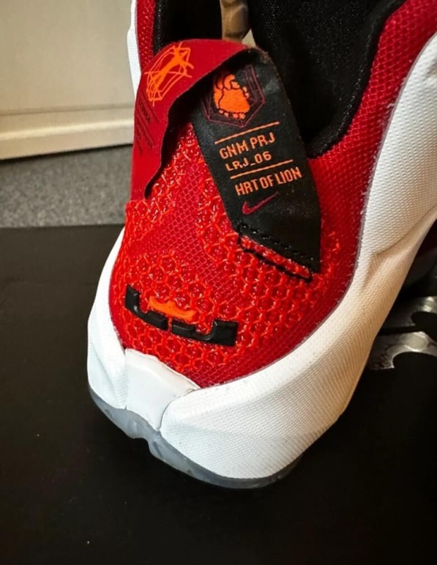 Nike air zoom LeBron 12 2