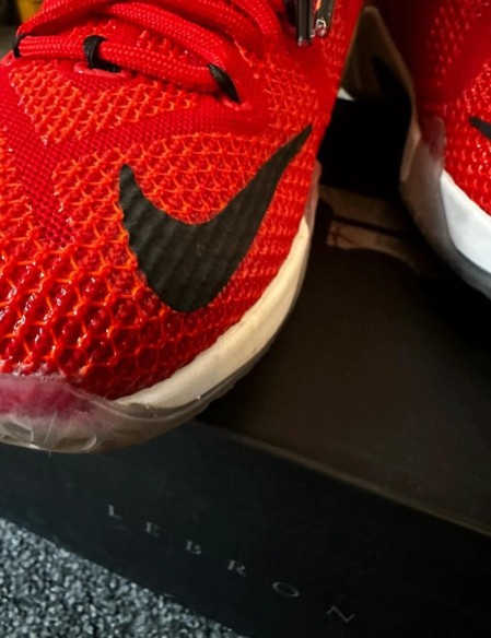 Nike air zoom LeBron 12