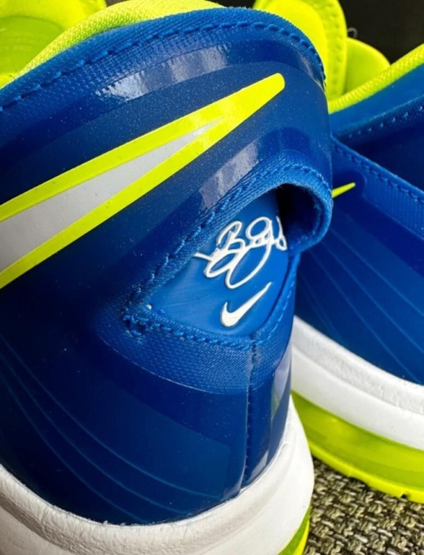 Nike air Lebron 8 v2 2