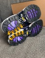 Nike air max plus