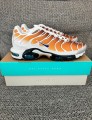Nike air max plus tn
