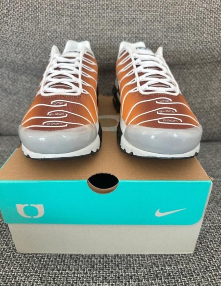 Nike air max plus tn