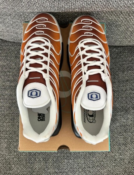 Nike air max plus tn