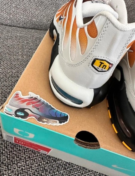 Nike air max plus tn