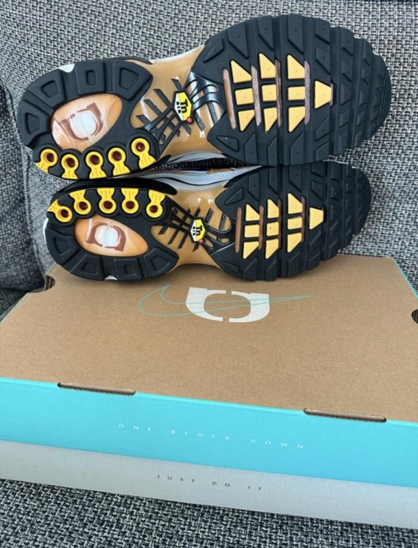 Nike air max plus tn 2
