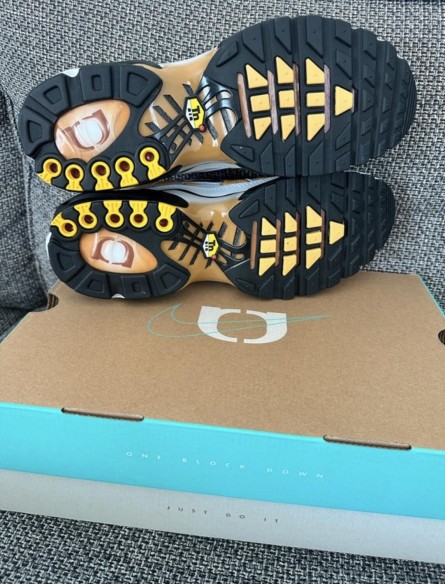 Nike air max plus tn