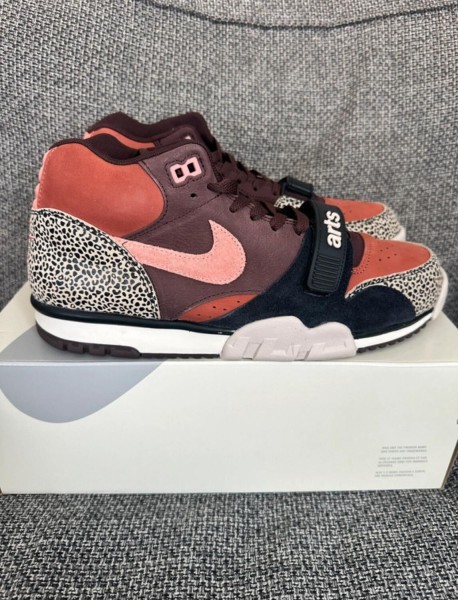 Nike sb air trainer Arts-Rec