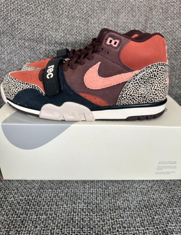 Nike sb air trainer Arts-Rec 2
