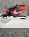 Nike sb air trainer Arts-Rec