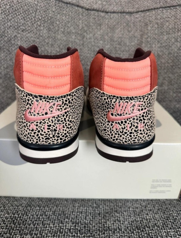 Nike sb air trainer Arts-Rec 2