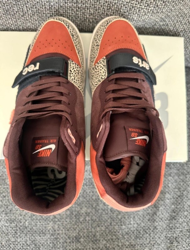 Nike sb air trainer Arts-Rec 2