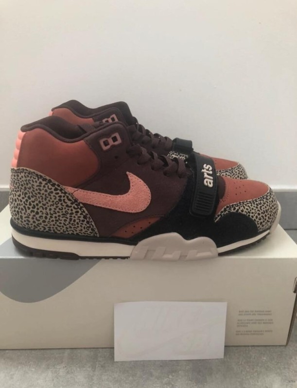Nike sb air trainer 1